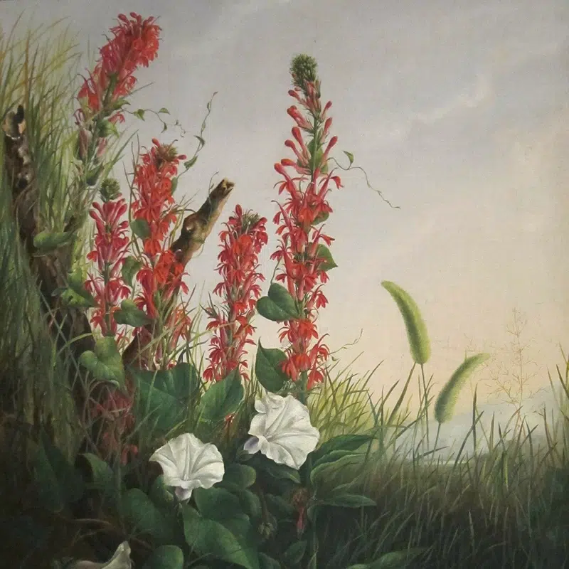 Pumicestone Painters Art Group